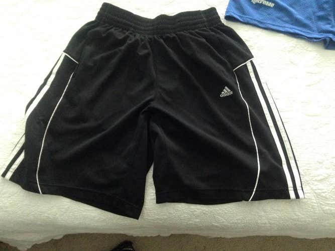 BN Adidas Shorts