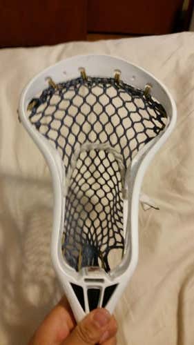 White warrior cobra x