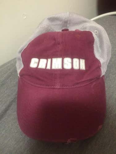 Harvard vintage Nike hat