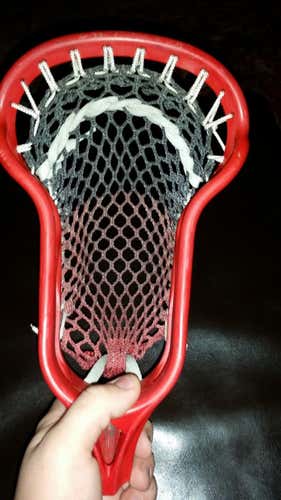 Tribe 7 Savage 7