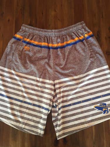 Sublimated Striped Shorts