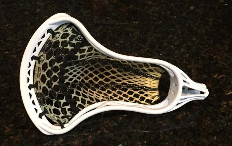Tribe 7 Sceptre 7