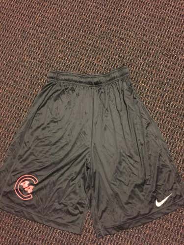 3D Commited 44 shorts grey