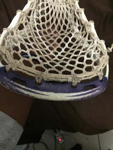 Purple and White head HS