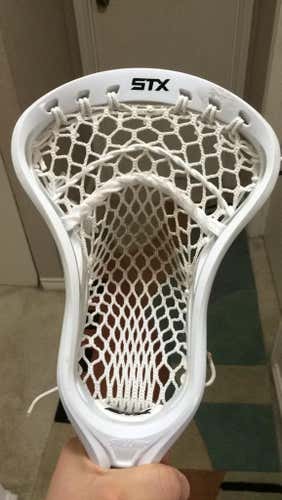 STX stallion U 550