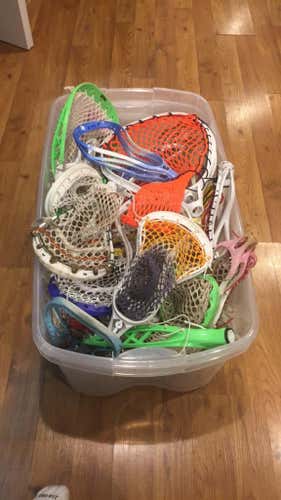 Many heads for sale