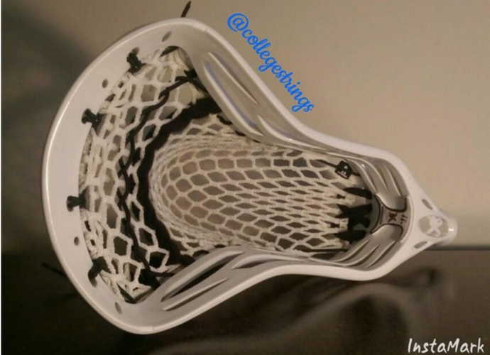 BN Warrior Revo Pro X6
