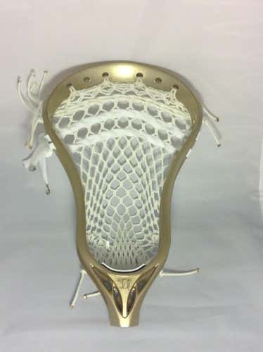 Brand New Warrior LE Golden Boy Evo 4x