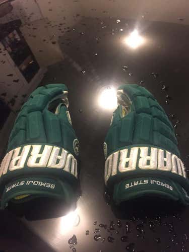 Warrior Gloves