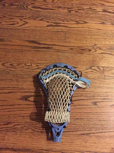 Blue STX Stallion