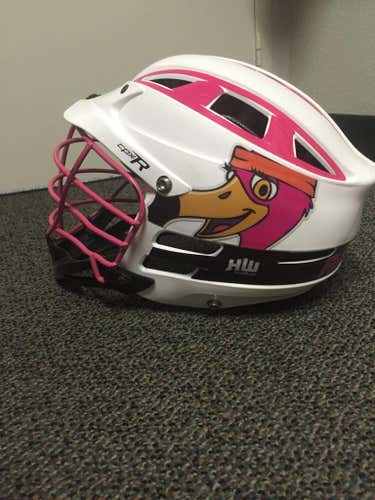 Florida flamingos cpx-r