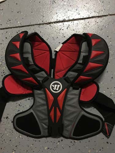 Warrior regulator hitman