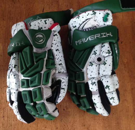 2012-2013 Stevenson University goalie gloves