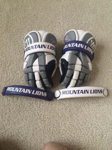 Young Harris College Warrior Riot 1's