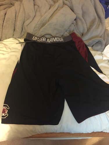 South Carolina shorts