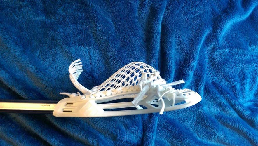 Epoch Hawk Sequel (Otter Mesh)