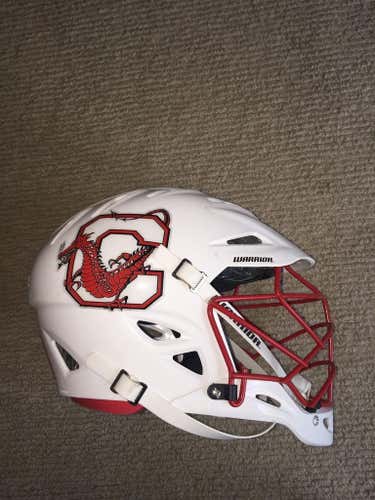 Warrior Regulator