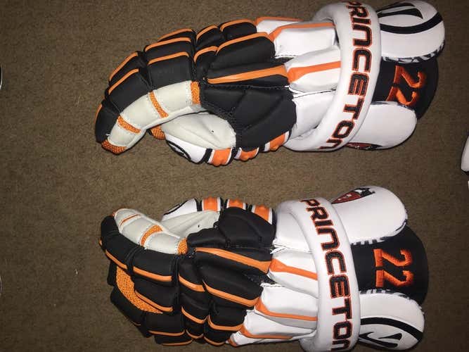 Princeton regulators