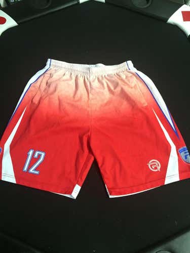 Factory 12 Shorts L