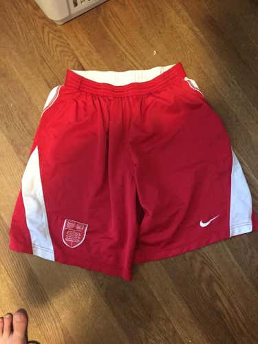 2016 Cornell Game Shorts
