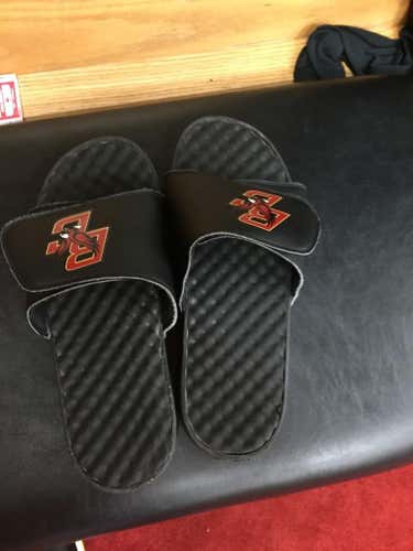 Custom BC shower slides