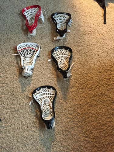 NEW 20$ heads
