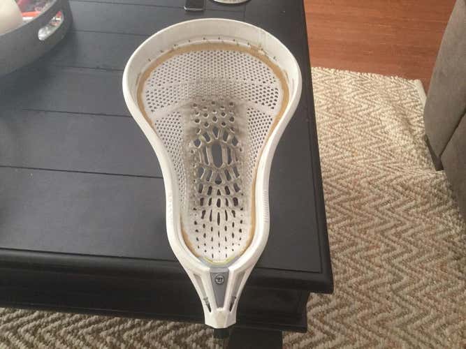 Warrior Evo Warp Cash only no trades