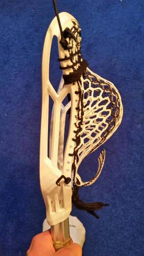 LN Epoch hawk sequel