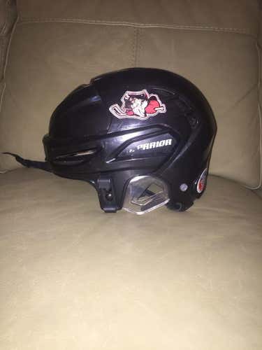 Warrior krown helmet