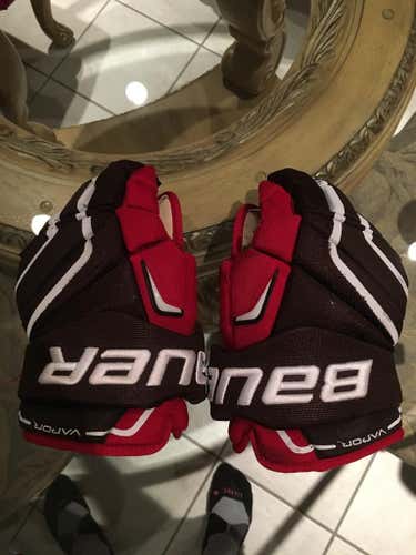 Bauer Vapor APX2 pro stock Brown University gloves