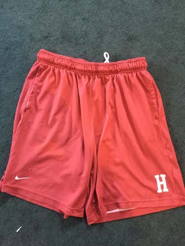 Harvard Nike Practice shorts