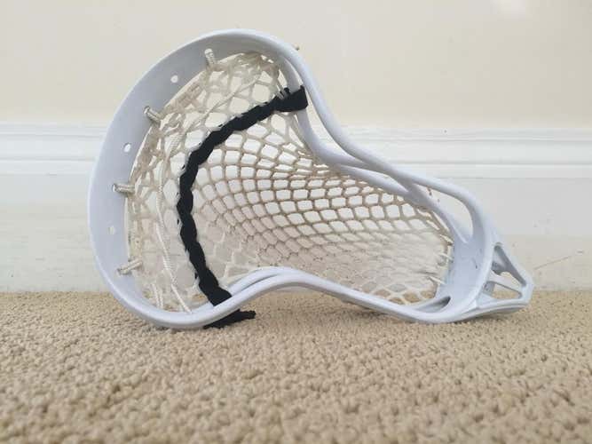 Tribe 7 Beast 7