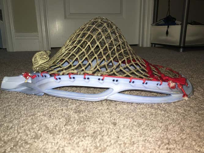 Brine money goalie head
