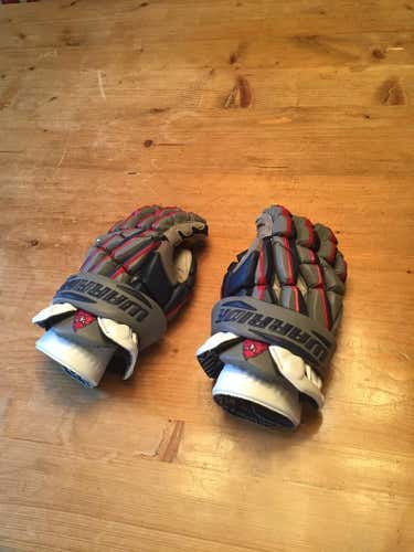 Limited Edition Warrior Regulator Gloves 13" (Price Negotiable)