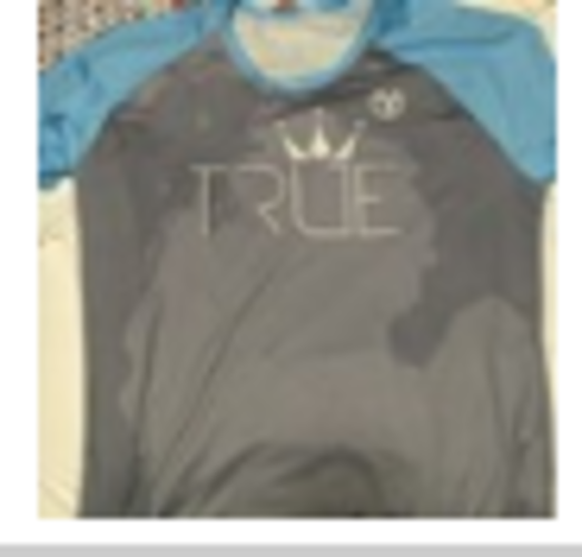 True Michigan shirt reorder