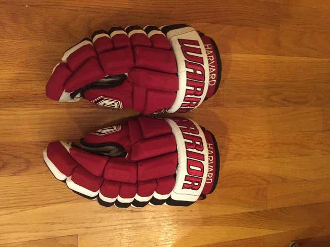 Harvard Warrior Dynasty AX2 14 Inch Gloves