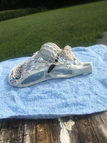 White stx av8