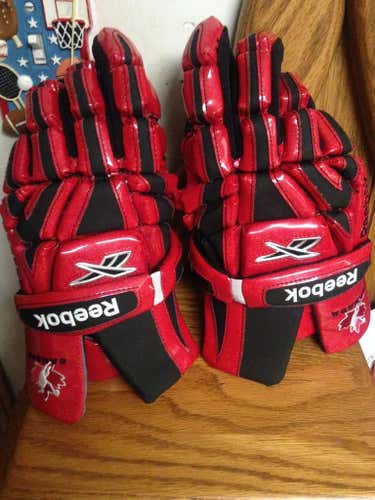 Reebok 10K team Canada