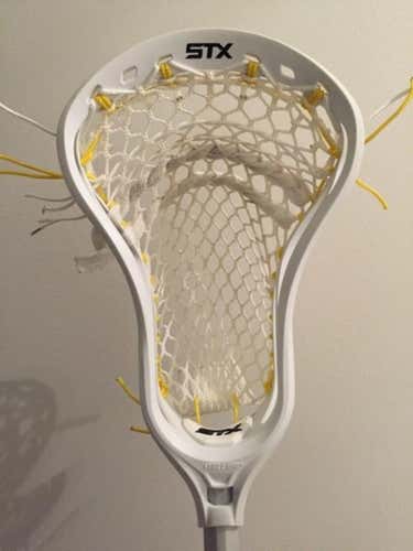 LN STX Stallion U550