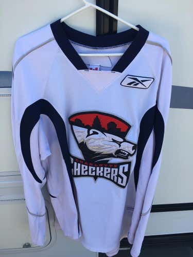 Charlotte checkers practice