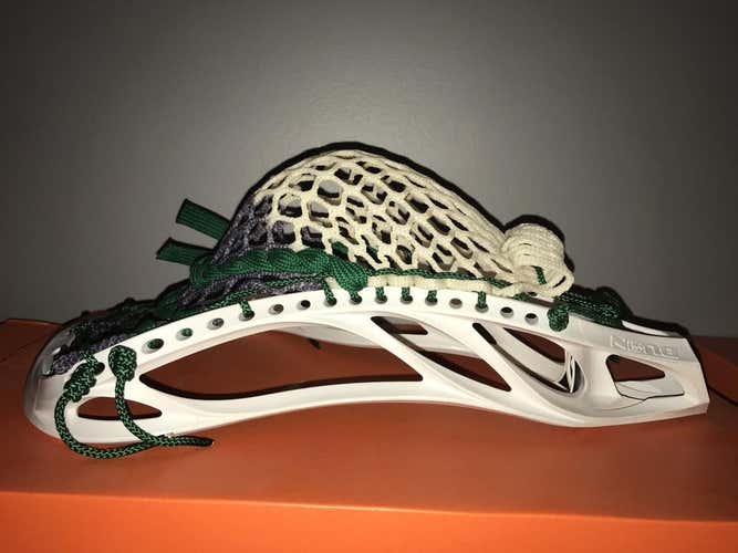 BN Endicott College Warrior Burn HS Head