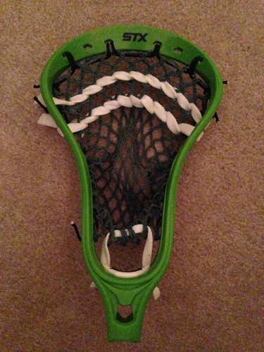 STX stallion strung