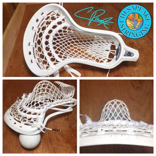 Dictator w/ StringKing 2s