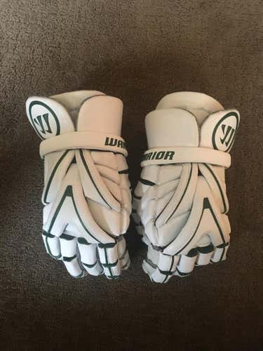 Warrior Evo Gloves