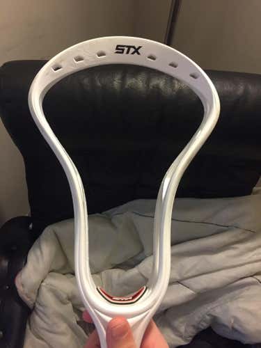 Stx Stallion
