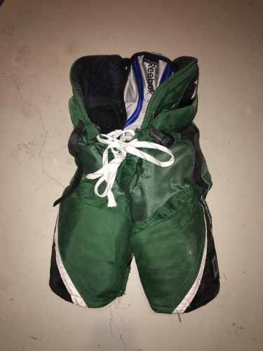 Dartmouth Reebok Pants