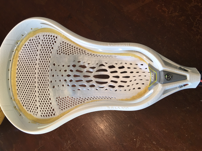 Warrior Warp (NO TRADES)