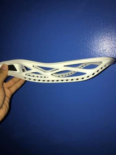 Brand new worrier regulator x