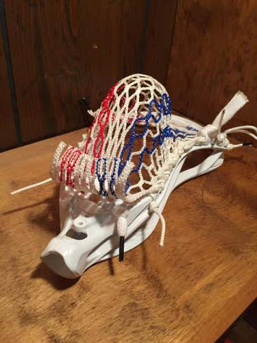 Brand New Stallion 700