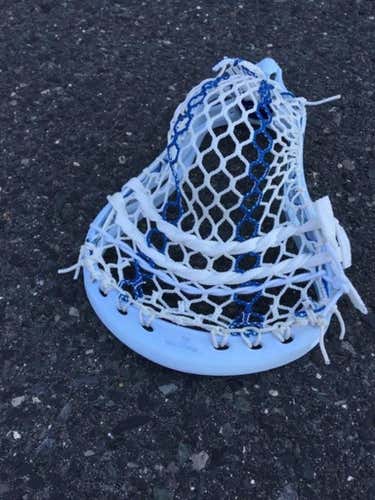 BN true Universal head